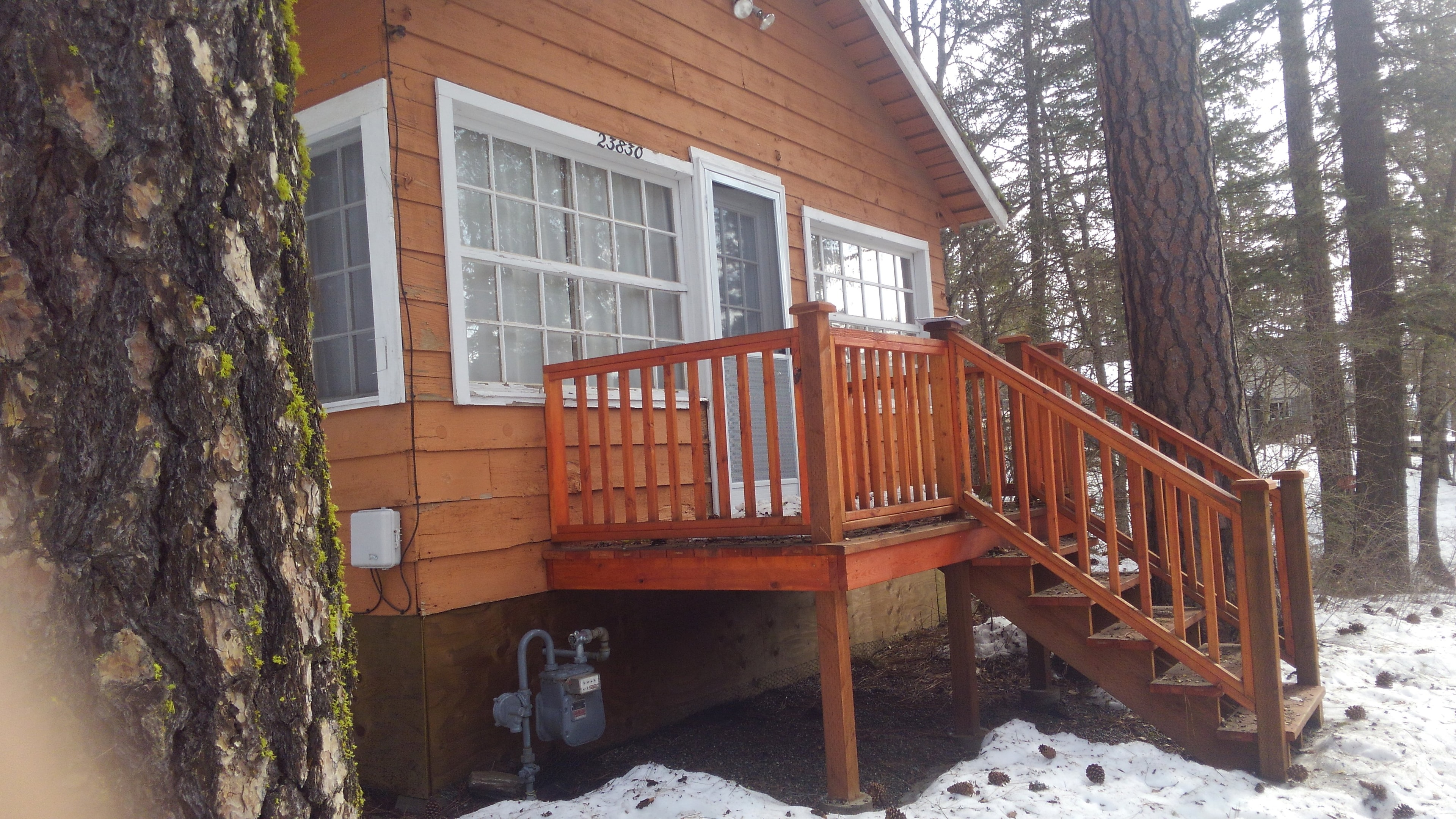 Cedar deck with railings in snowy pine forest