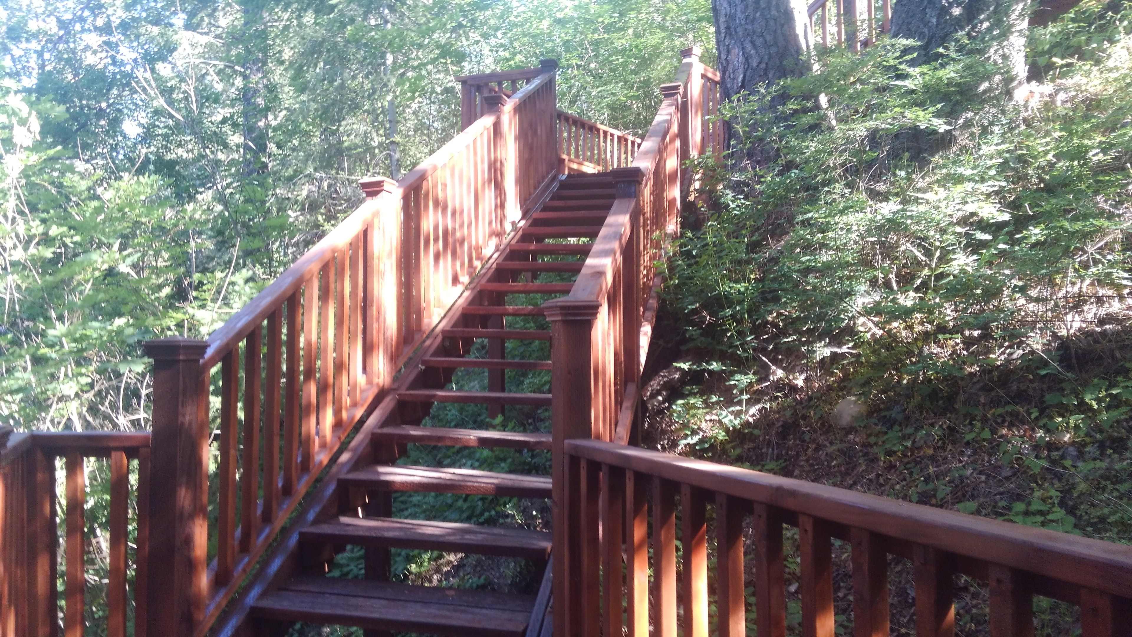 Long cedar staircase descending wooded hillside
