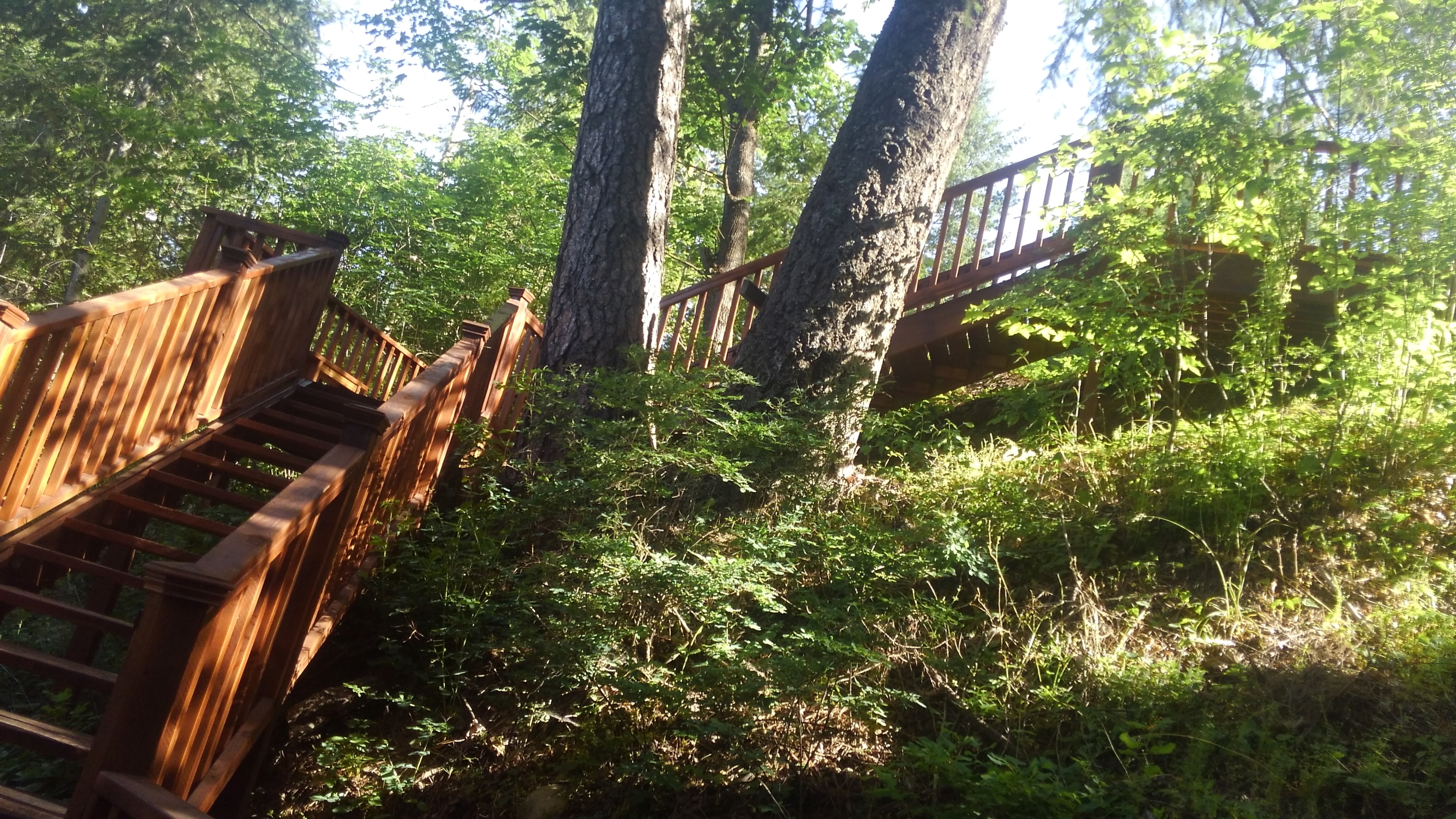 Multi-level stair system through the forest